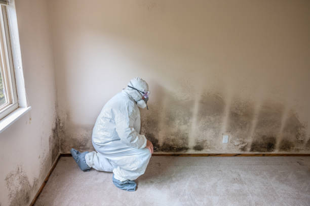 Mold Remediation for Rental Properties in Powder Springs, GA